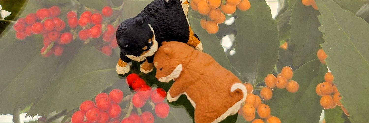 Rie_993's profile banner image