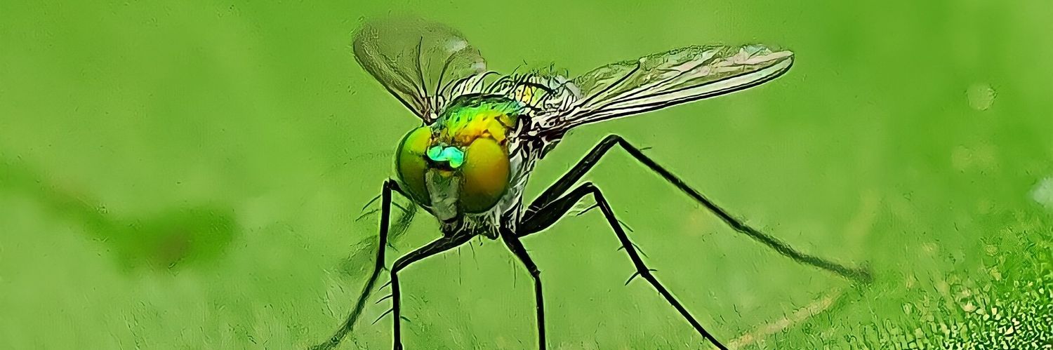 perfect🌙 imperfection banner