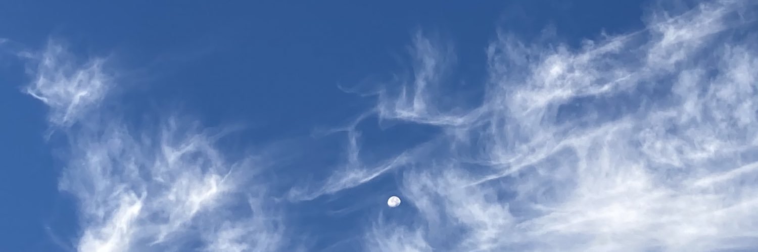 BovBovee's profile banner image