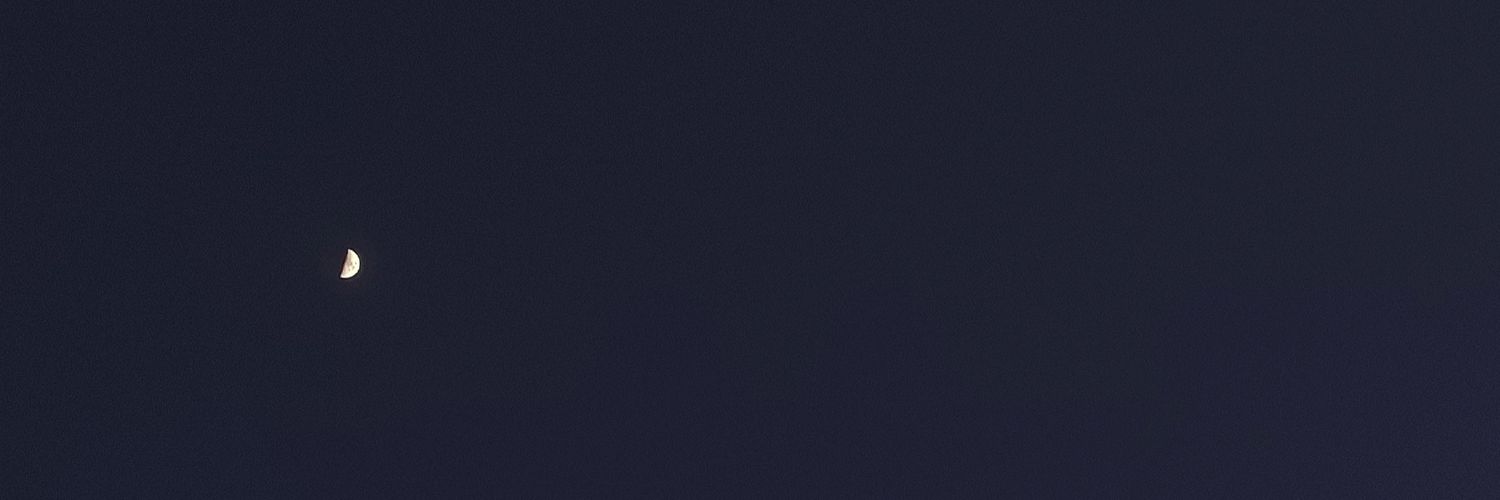Traubadour's profile banner image