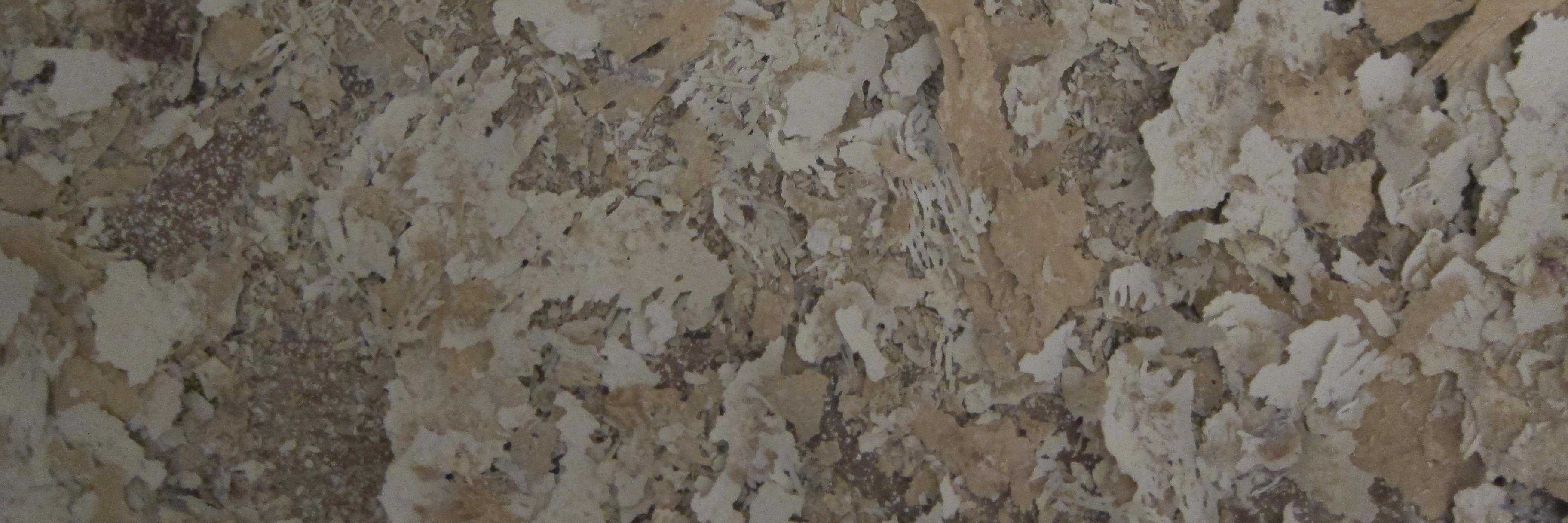 DONTDJ's profile banner image