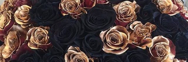 mrika99's profile banner image
