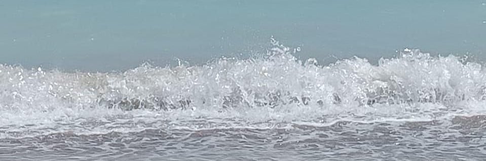 Ana Sanz Campos banner