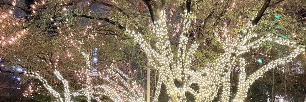 _MsEnny_ Profile Banner