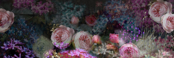 ModernLoveSC Profile Banner