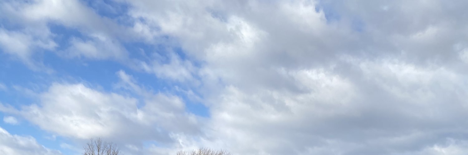 MamaReigel's profile banner image