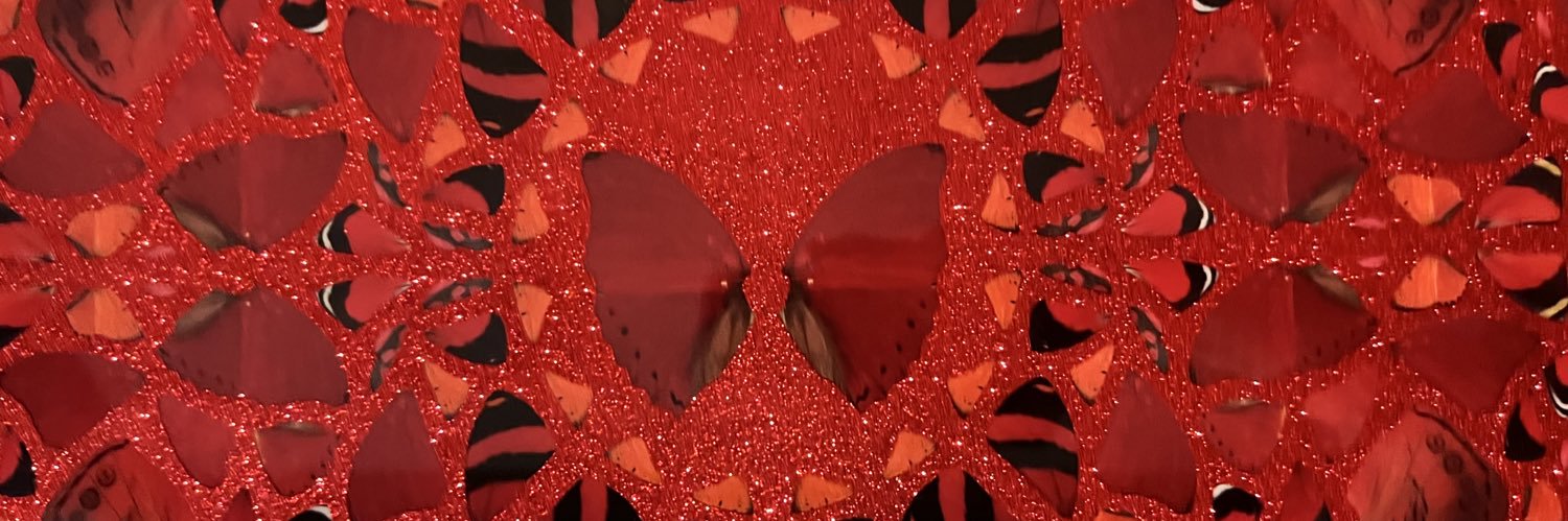 stefanoumo's profile banner image