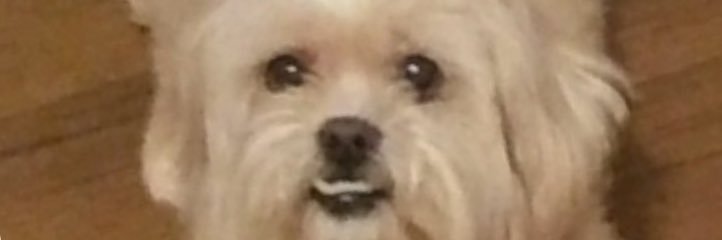 Destinee128's profile banner image