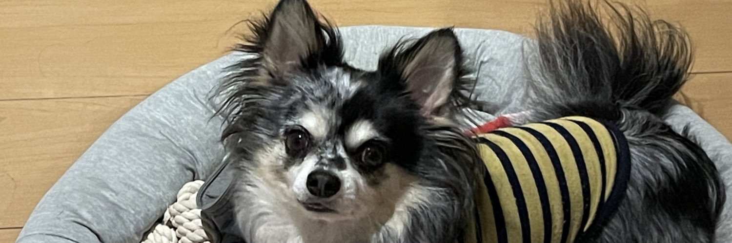 chrisayakei's profile banner image