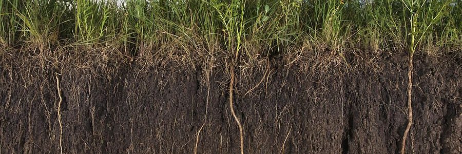 Matt Wallenstein banner