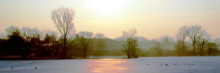 tmd272's profile banner image
