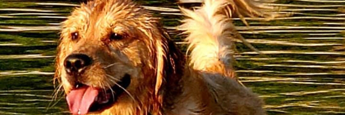 masspike1's profile banner image