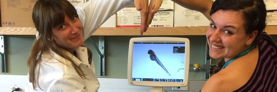 Macarena Gonzalez banner