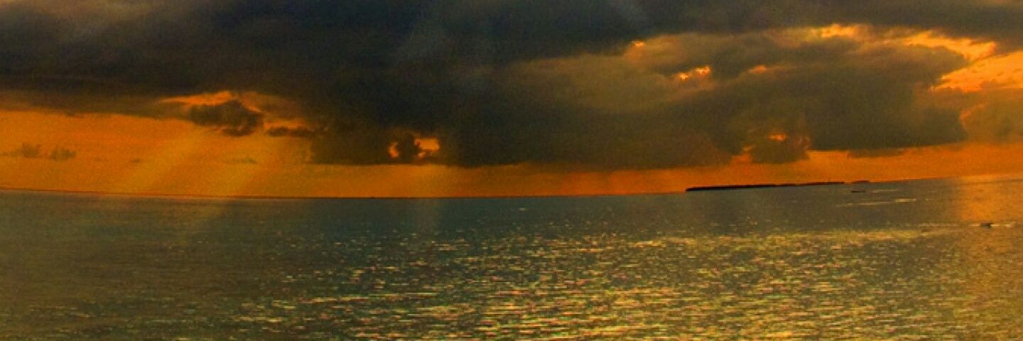 MHMaliki's profile banner image