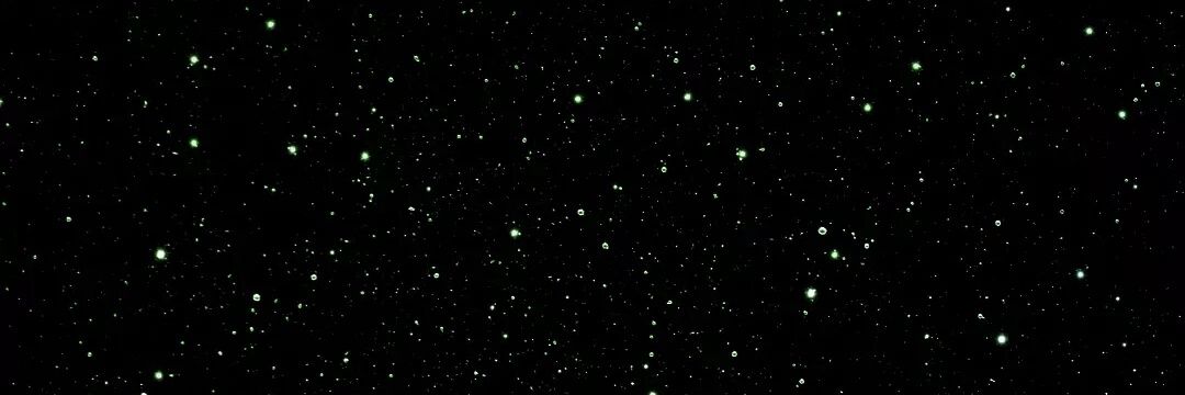 paroxysm1's profile banner image