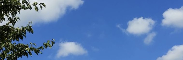 cbYUMEcb's profile banner image