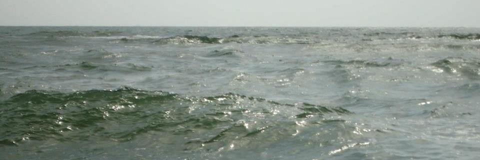 Anoothi Vishal banner