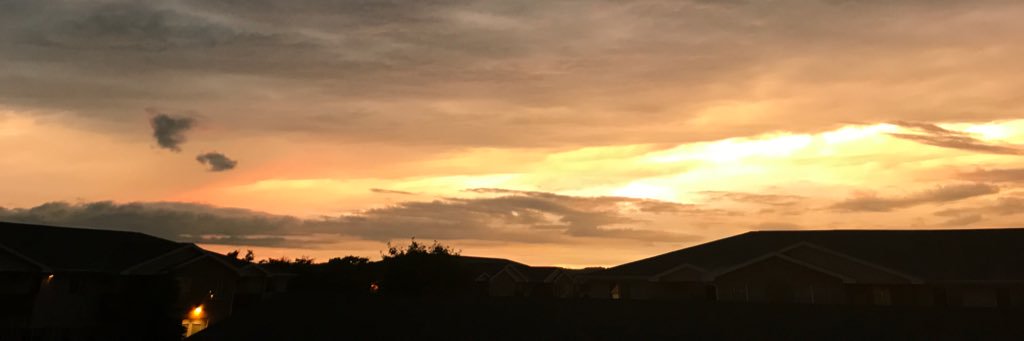 misstepp's profile banner image