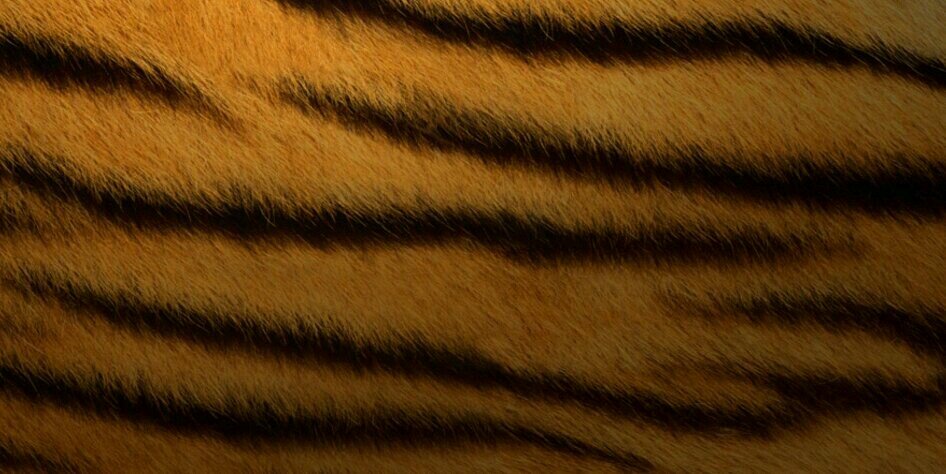 ekeith54's profile banner image