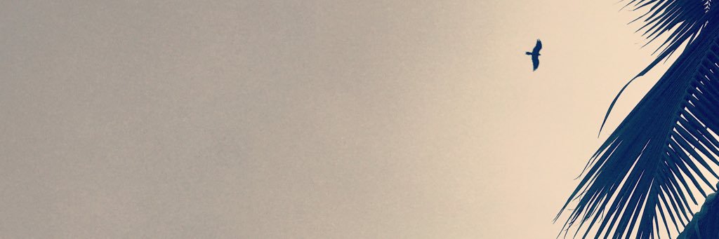 callmewhowhere's profile banner image