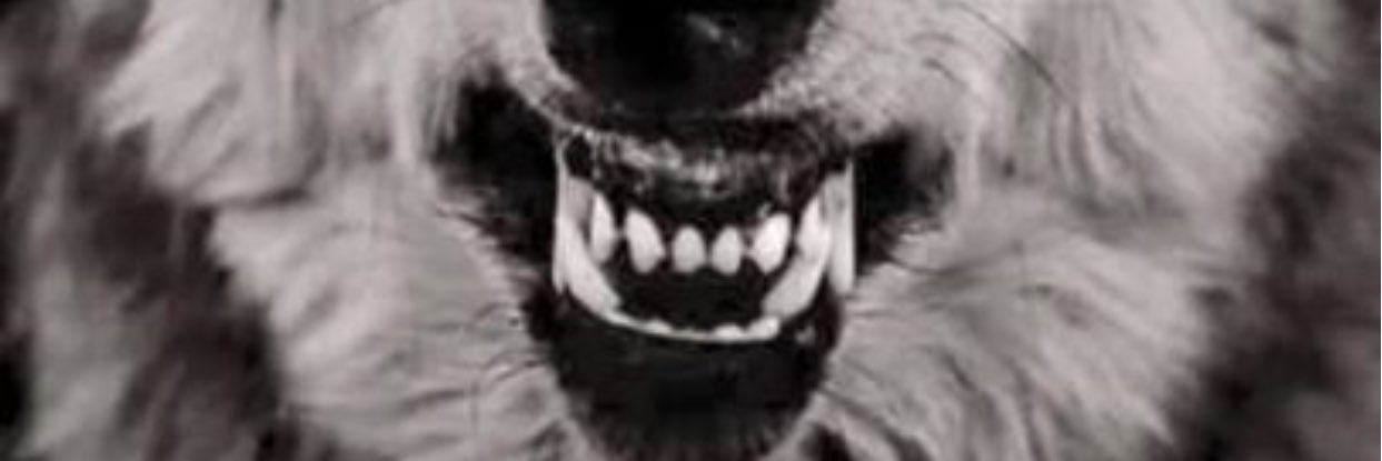 Jascrum's profile banner image