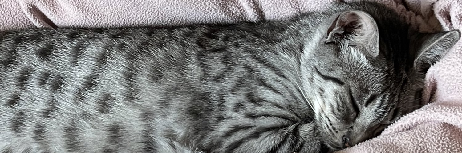 IonYui's profile banner image