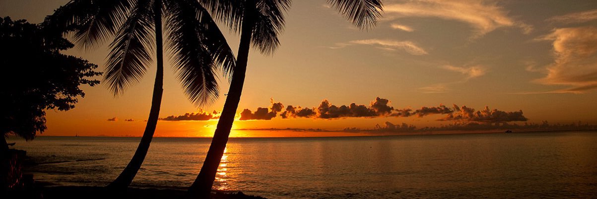 larrypatron's profile banner image