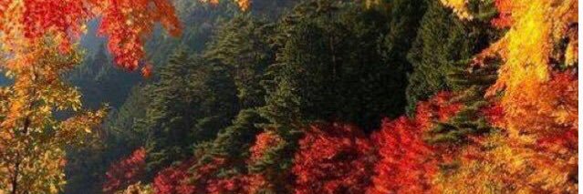 sfawzy73's profile banner image