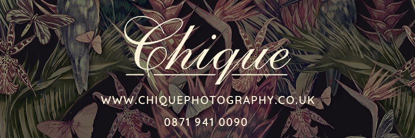 Chiquestudios's profile banner image