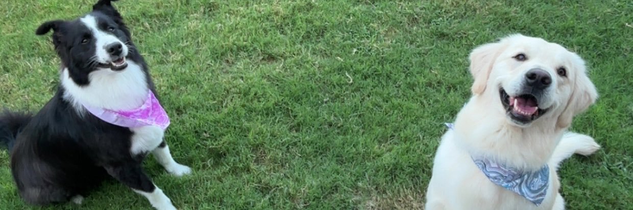 lorgambrell's profile banner image