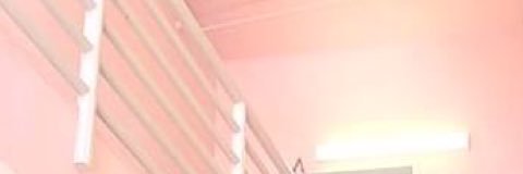 alina banner