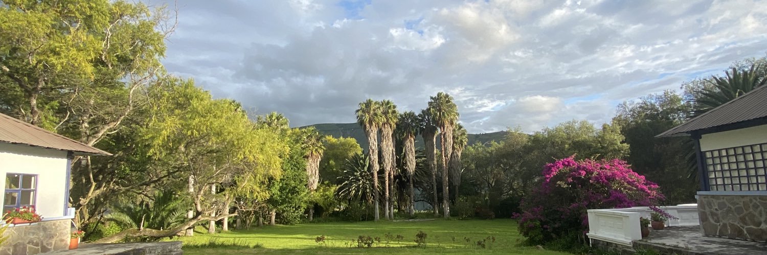 Corina Dávalos banner