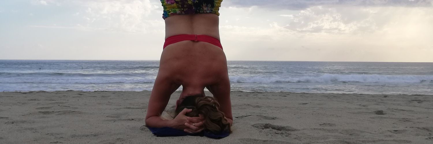 indigojenn's profile banner image