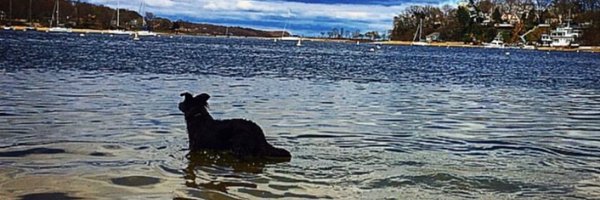 richpeccinyc Profile Banner