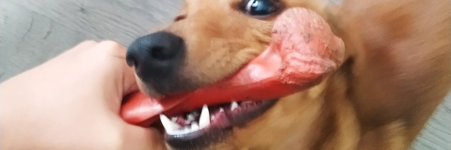 askbtz88's profile banner image