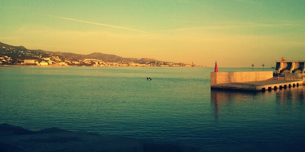 Javier Joya 🎬 banner