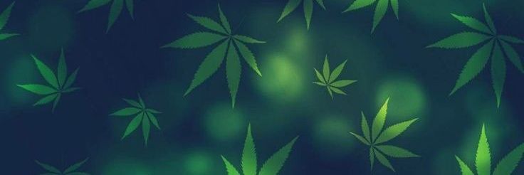 strakinados's profile banner image