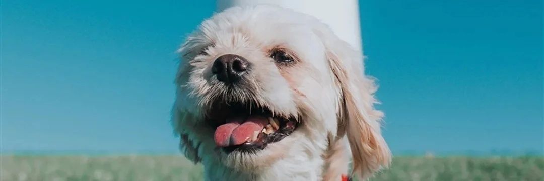 Taylor_hu17's profile banner image