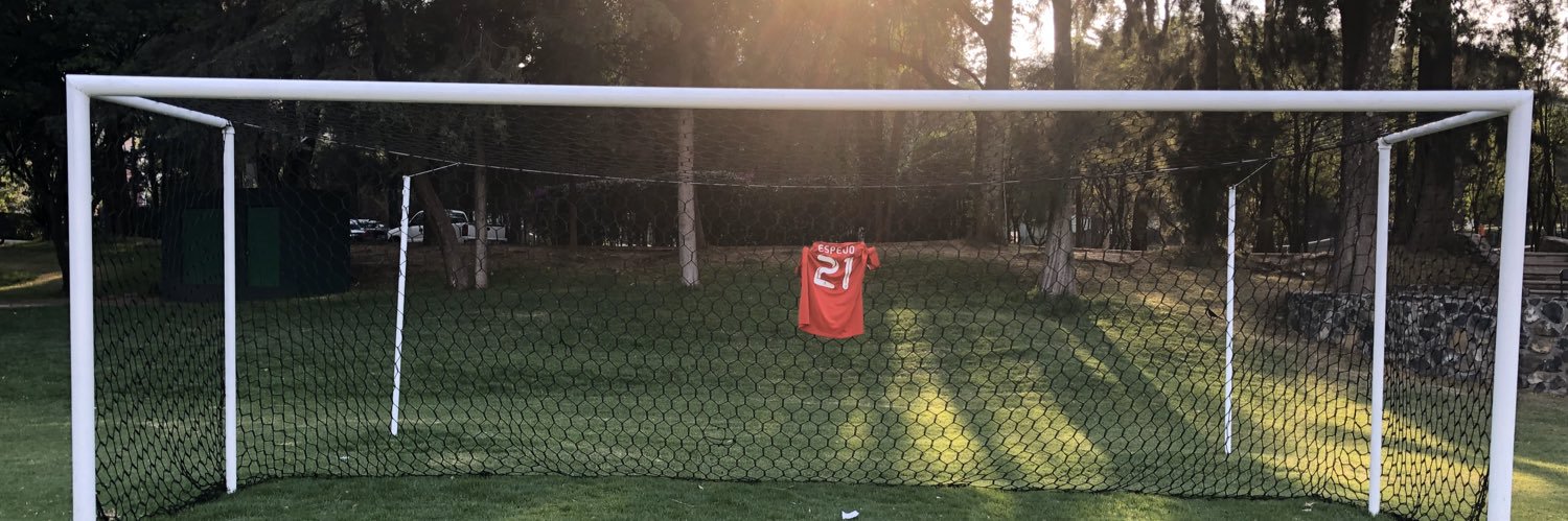 Manuel Espejo banner