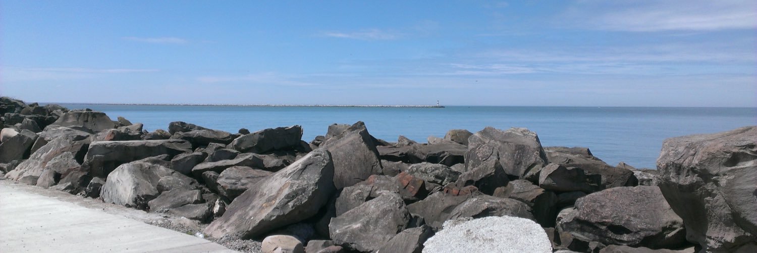 Caroline Griffith 🦖🟧 🐦 banner