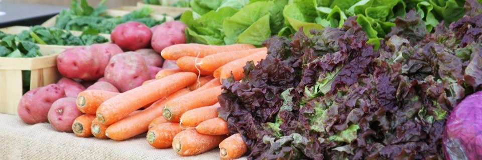 Baylor Collaborative on Hunger and Poverty banner