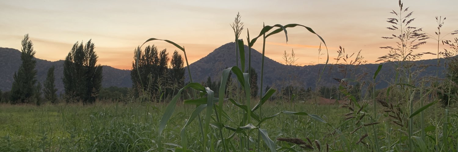 manuelfariasn's profile banner image