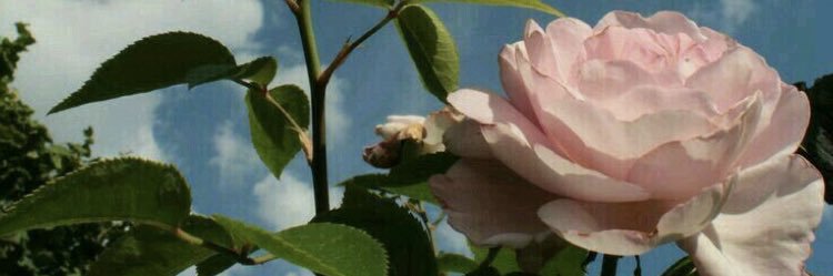 66__degrees's profile banner image