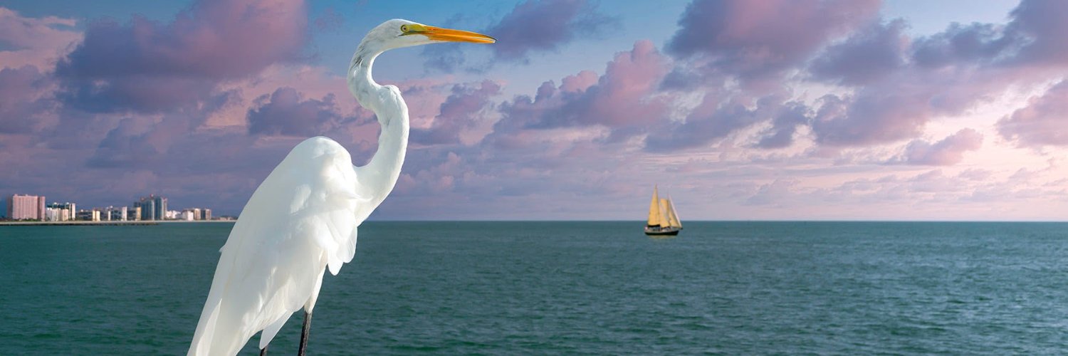 Bill_Cason's profile banner image