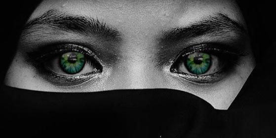 DNSbloom's profile banner image