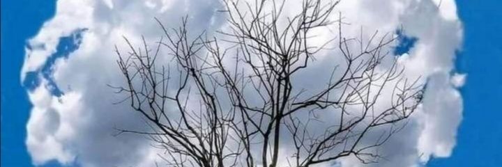 kfMelzSA's profile banner image