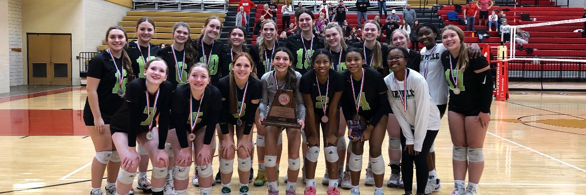 Birdville Volleyball banner