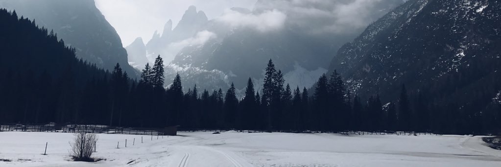 maegchalmers's profile banner image