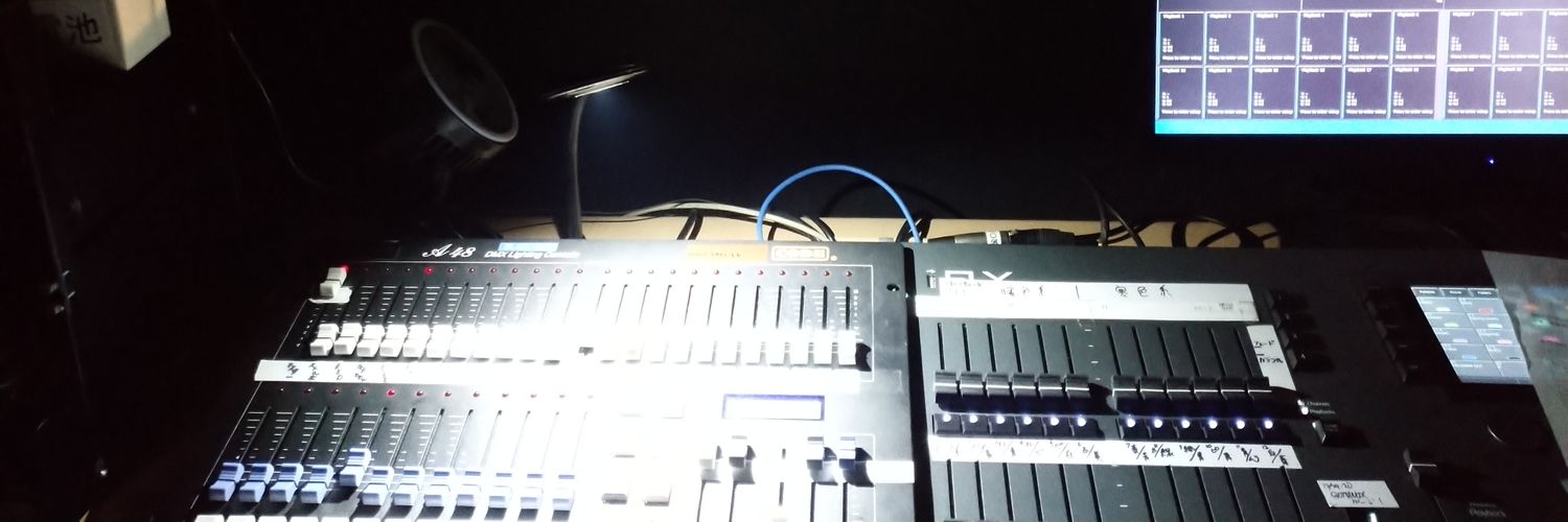 Twistin'sally banner