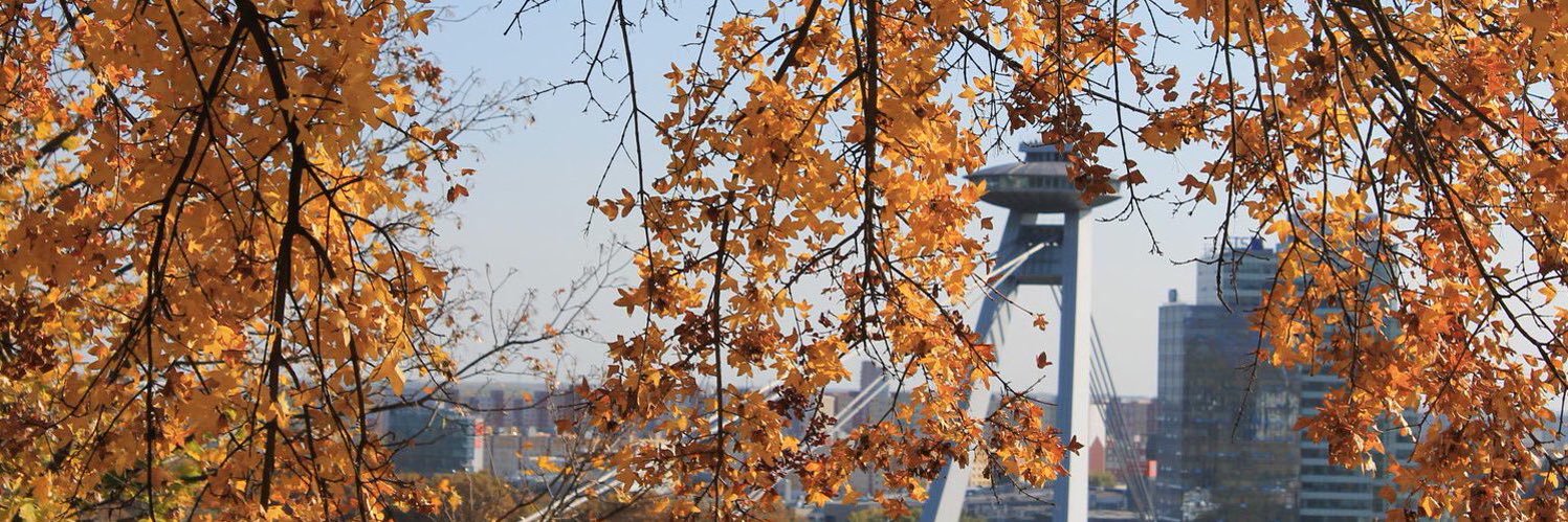 apatndj's profile banner image